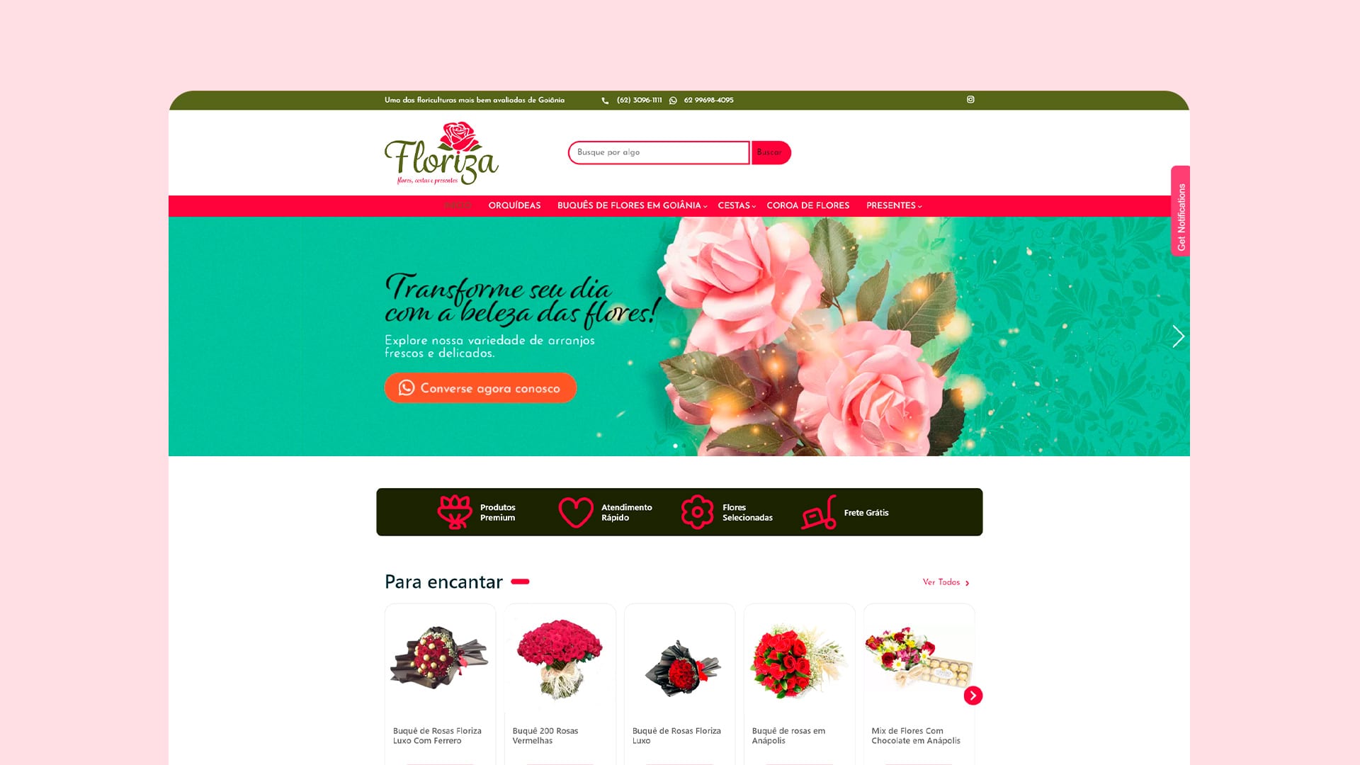 Versão atual — Floriza